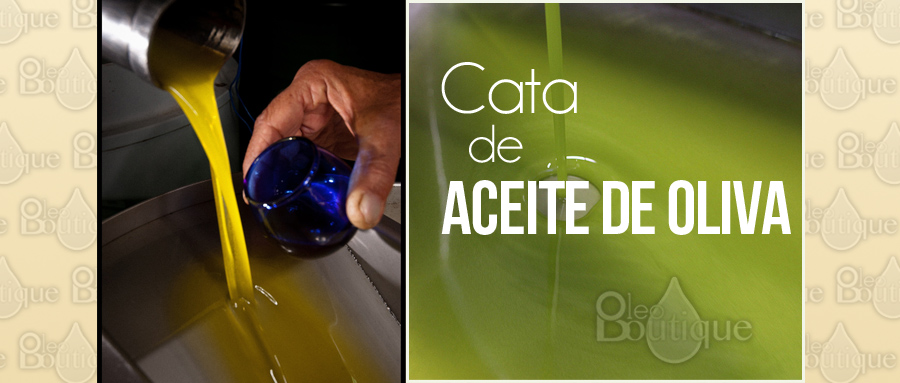 Cómo catar Aceite de Oliva
